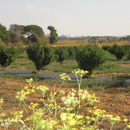 Apartment Mas Des Esclots