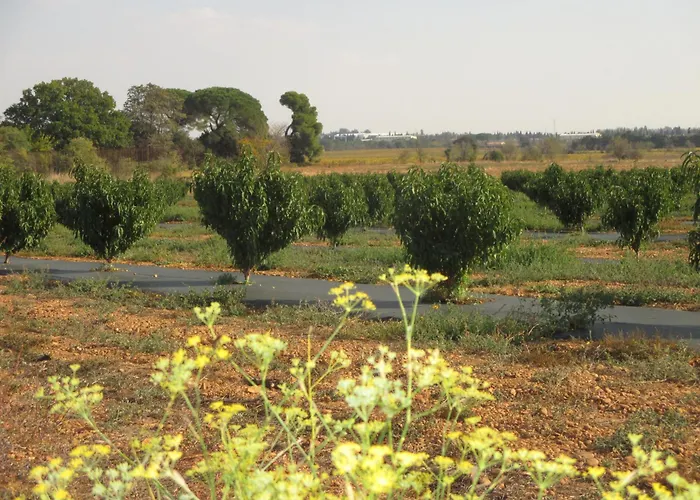 Διαμέρισμα Mas Des Esclots